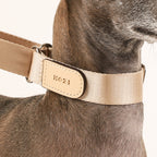 Martingale_BEIGE