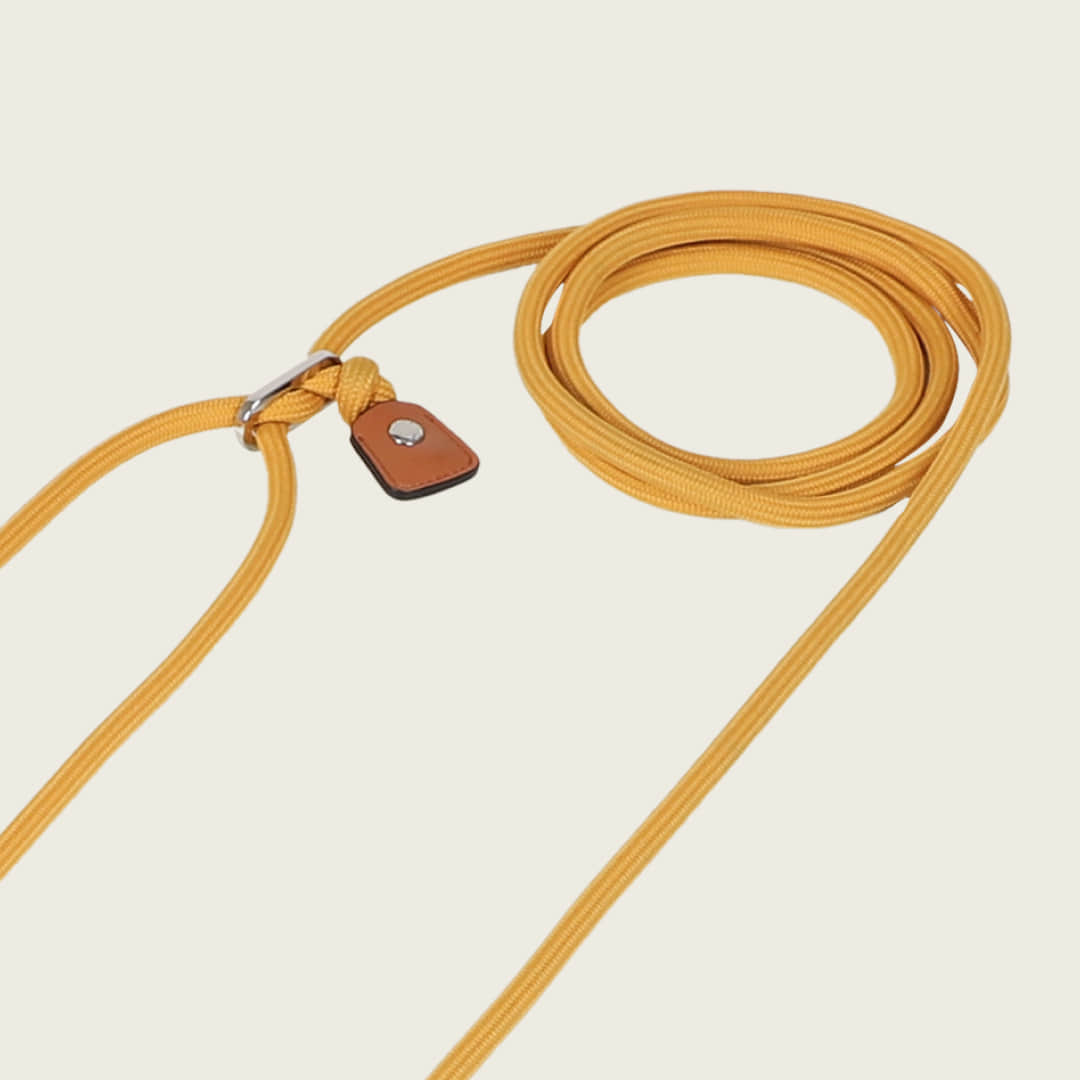 Essential Hands-Free Lead_MUSTARD