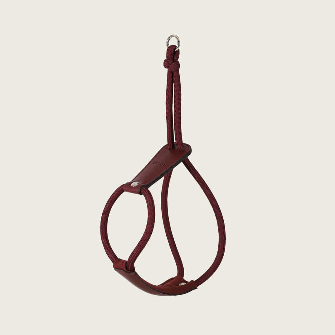 Essential Harness_BURGUNDY