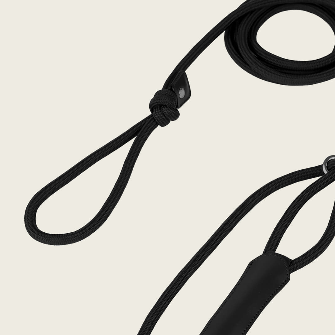 All-In-One Harness_BLACK