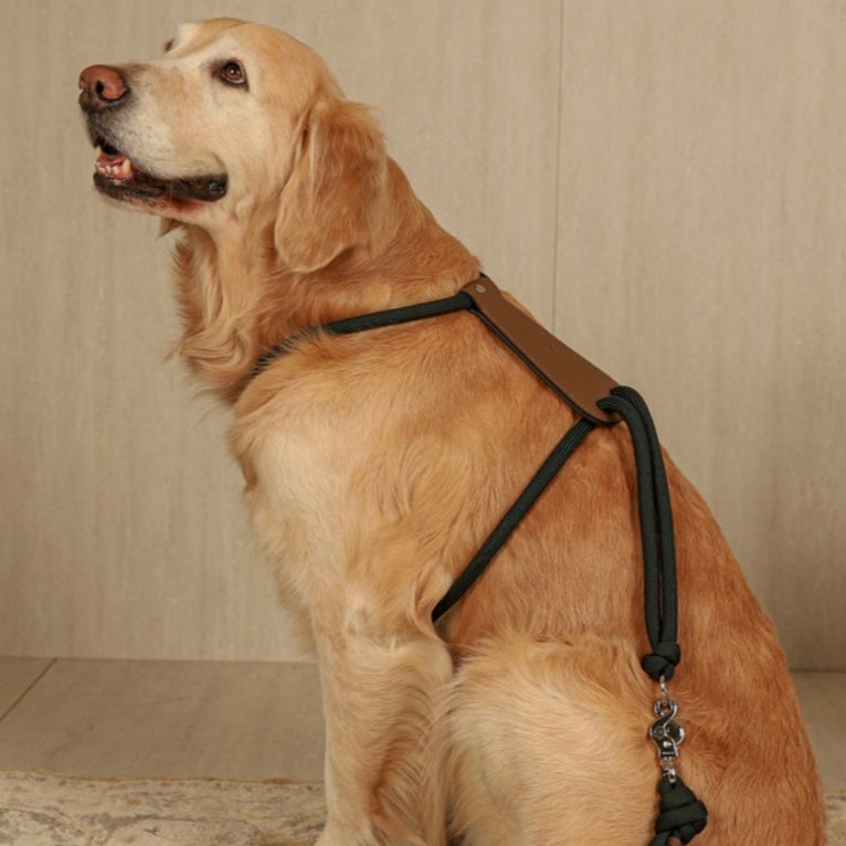Essential Harness_DEEP GREEN