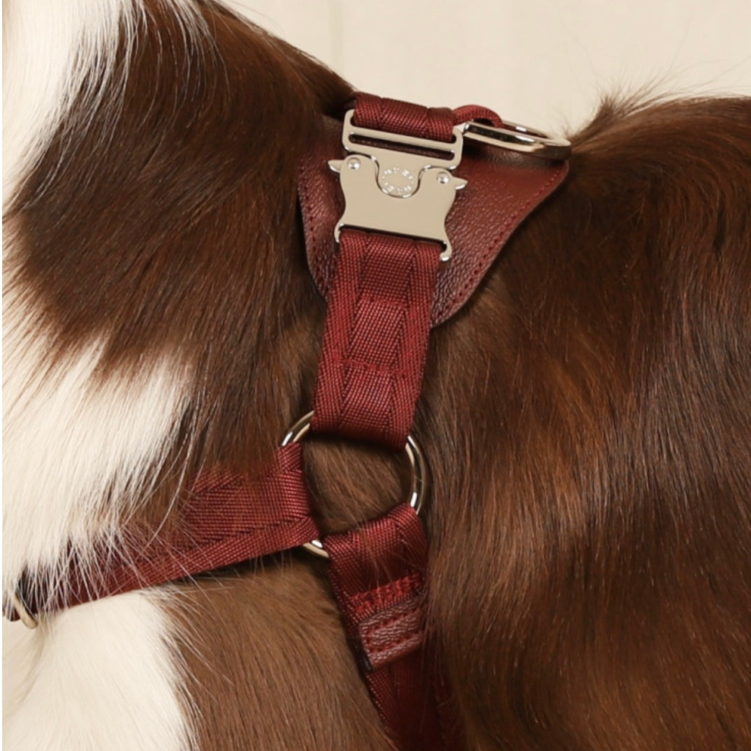 Horsebit Harness_BURGUNDY