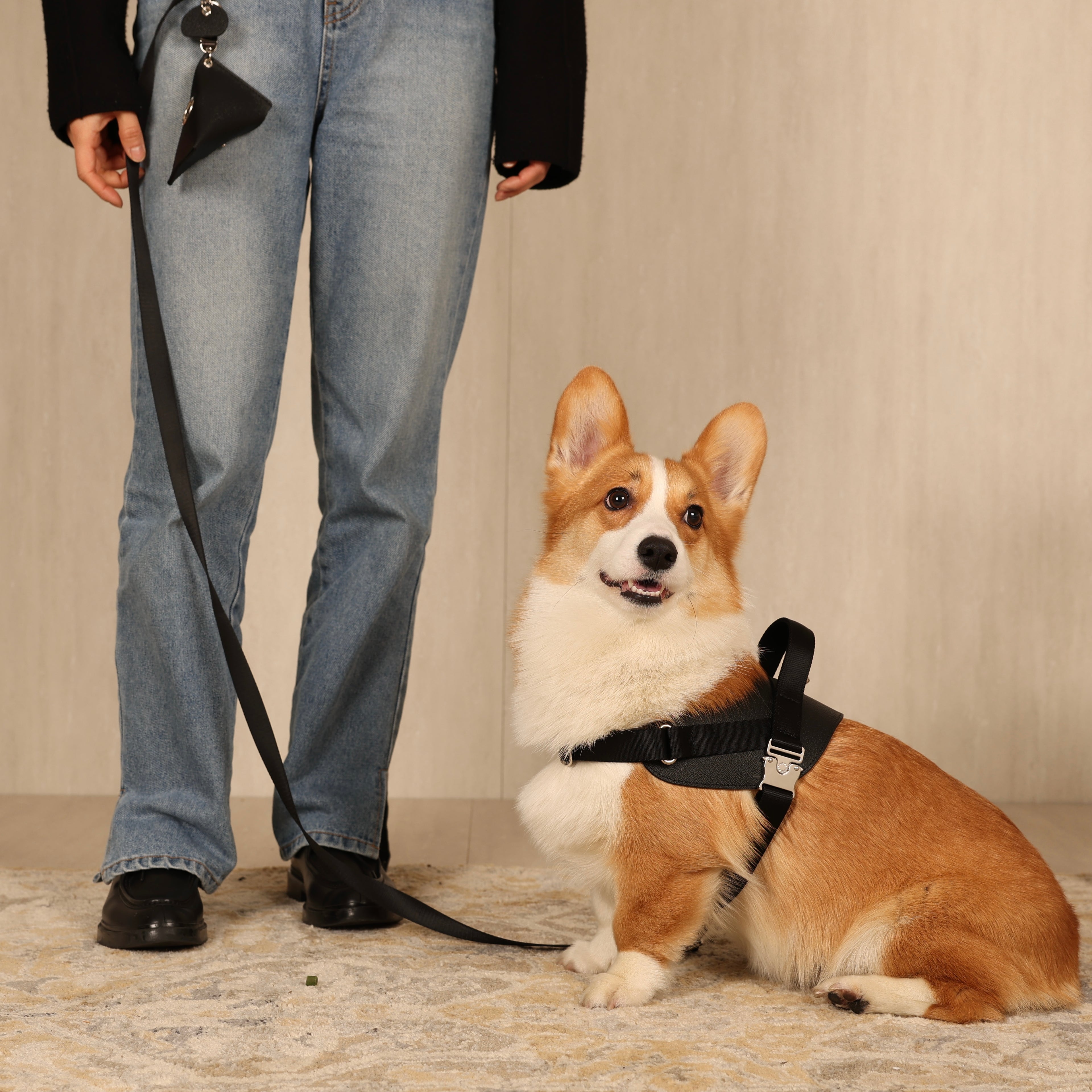 Saddle Harness_BLACK