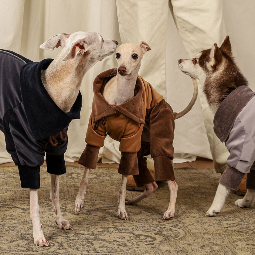 [NEW] Suede All-in-One Suit_BEIGE