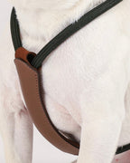 Essential Harness DEEP GREEN