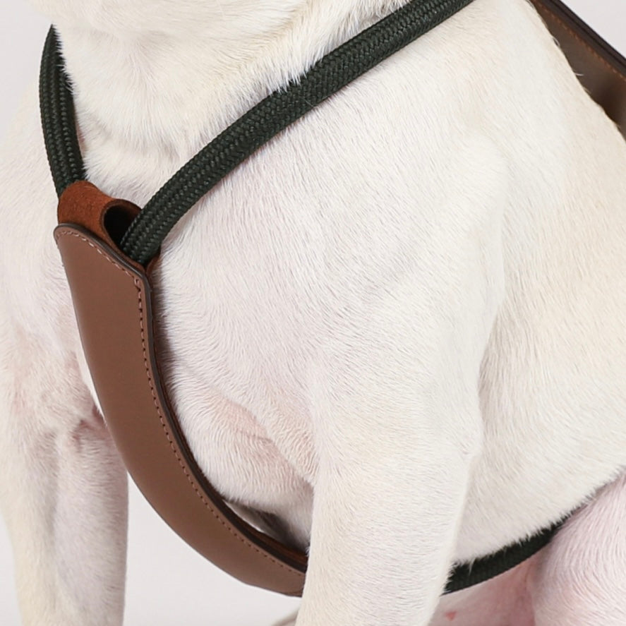 Essential Harness_DEEP GREEN