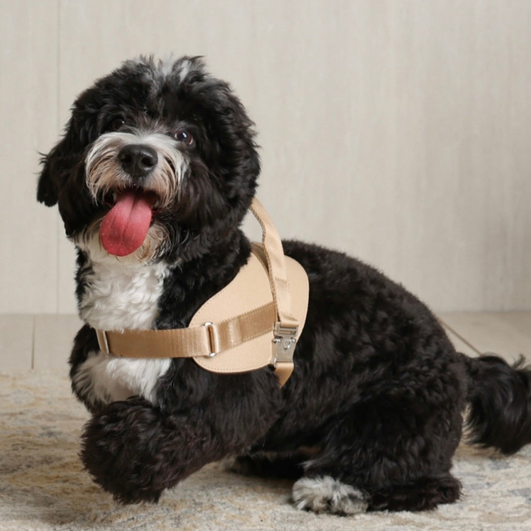 Saddle Harness_BEIGE