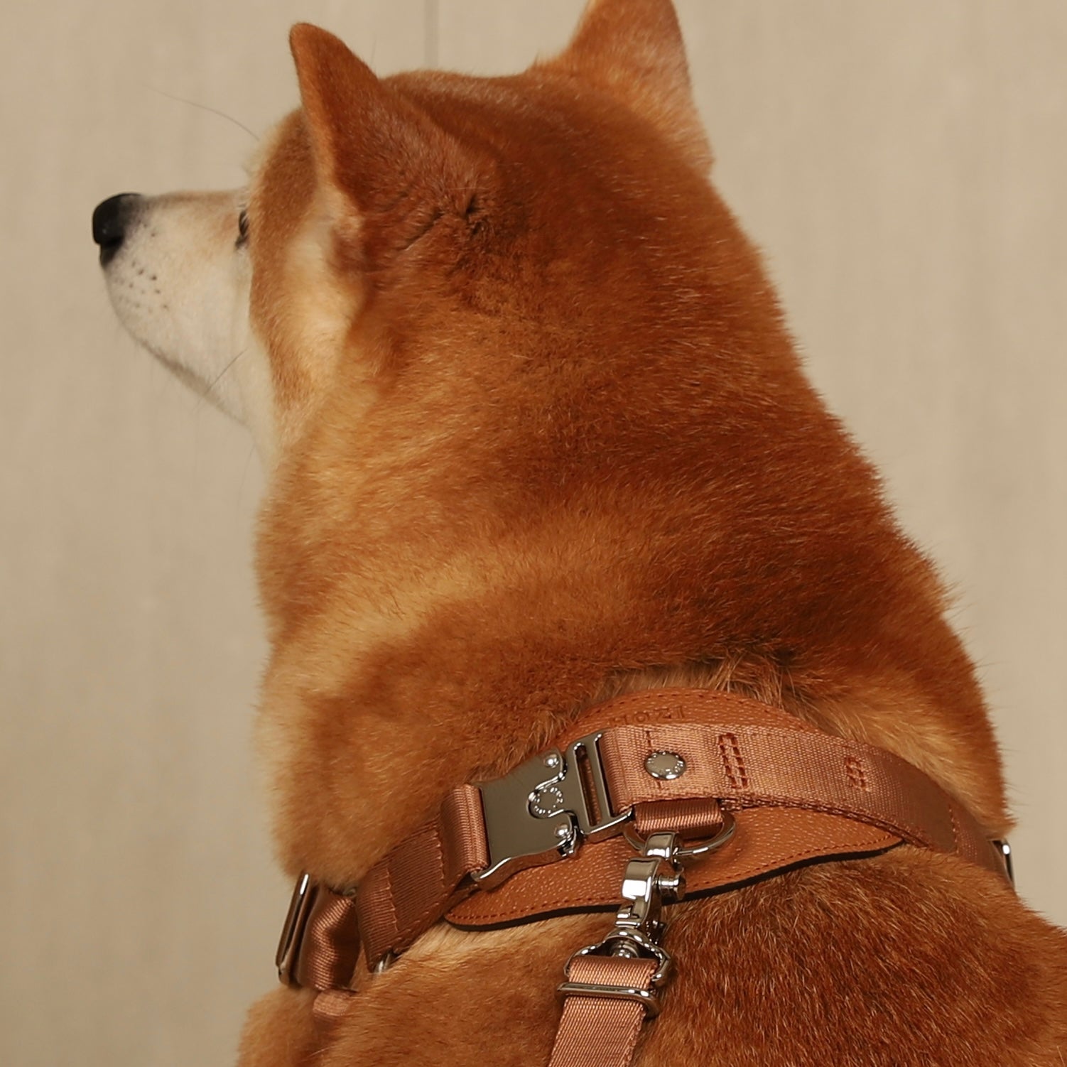 Horsebit Harness_CAMEL