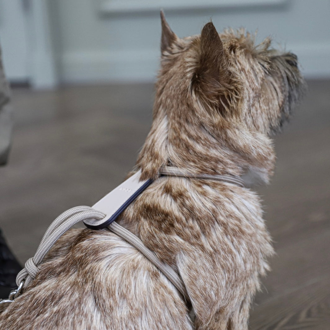 Essential Harness_BEIGE