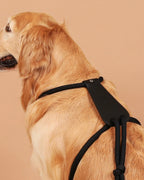 Essential Harness BLACK