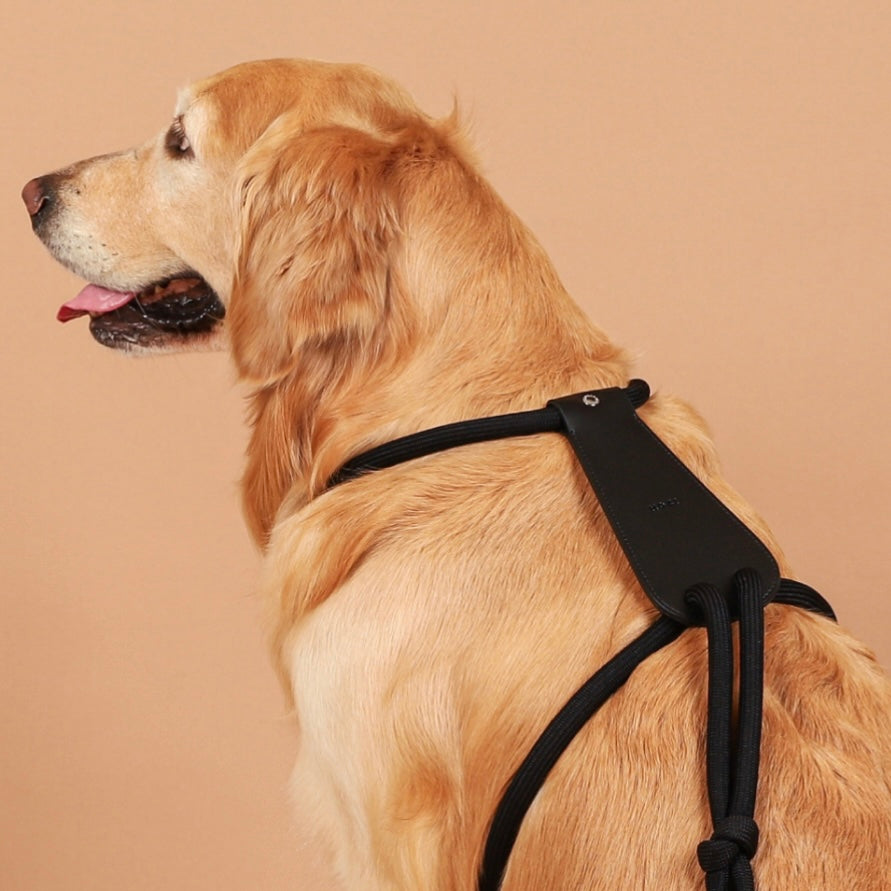 Essential Harness_BLACK