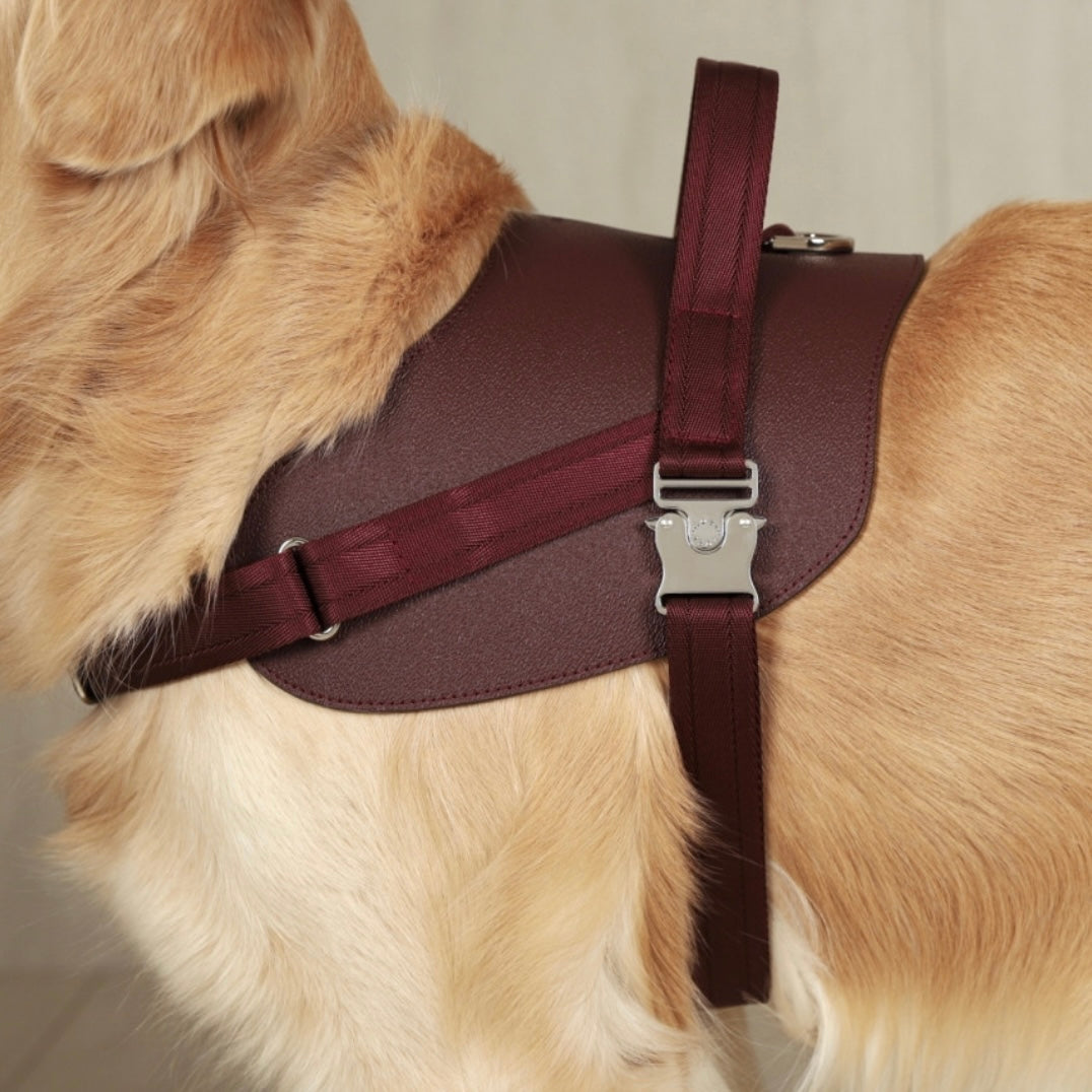 Saddle Harness_BURGUNDY