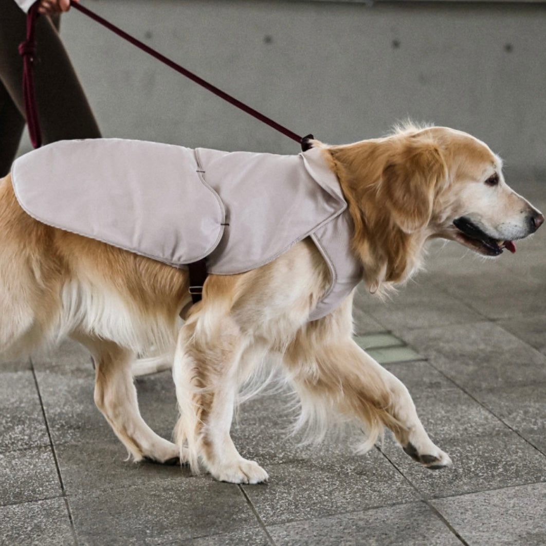 [NEW] Cool Vest_Beige 15%