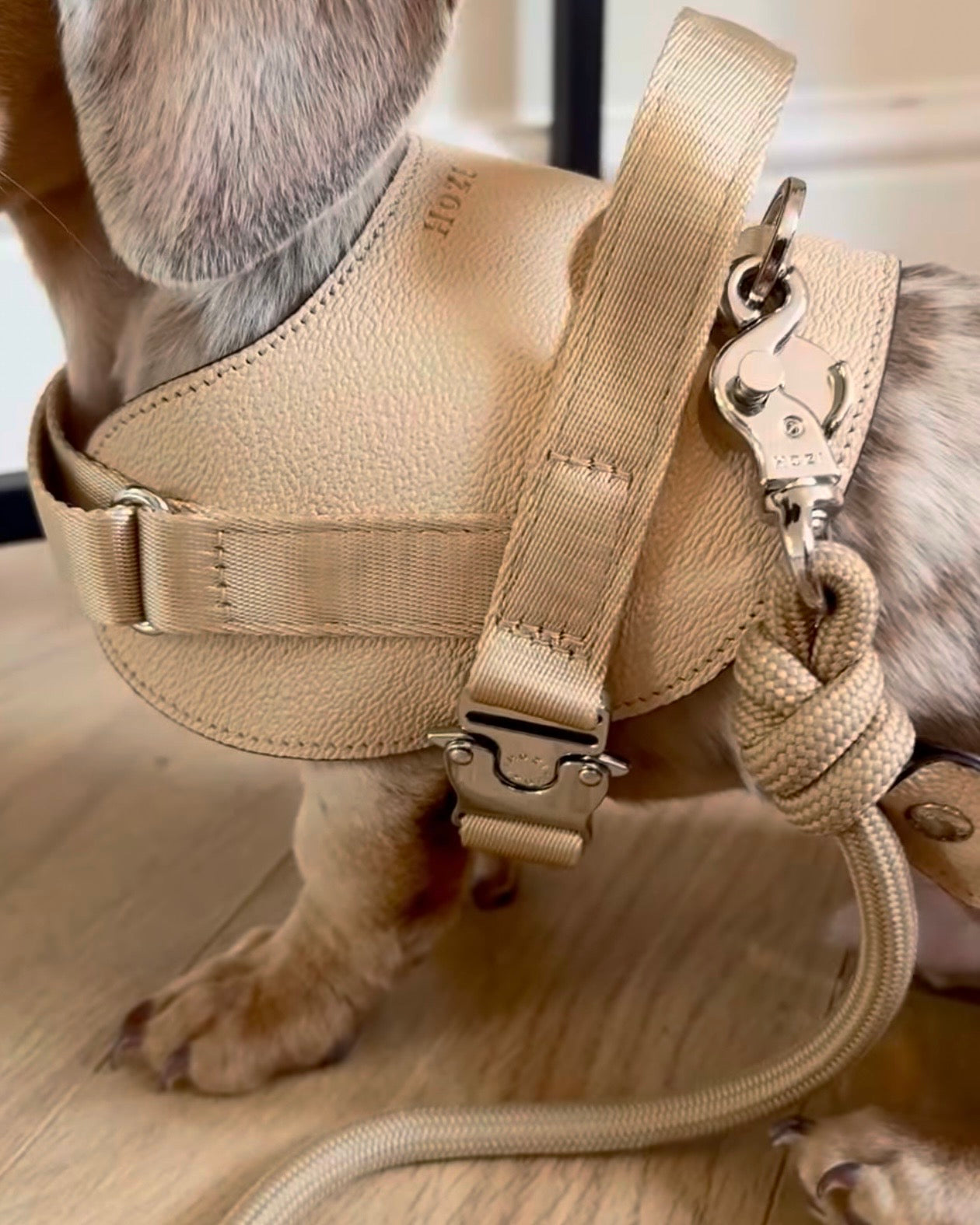 Saddle Harness BEIGE