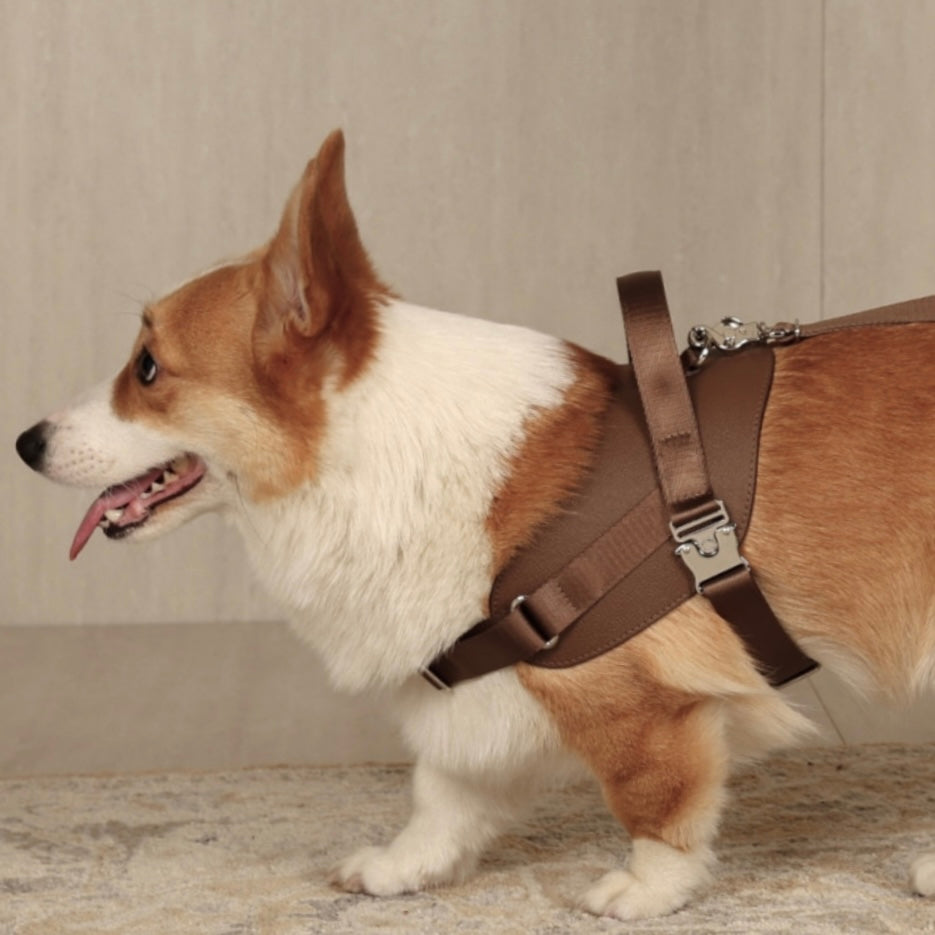 Saddle Harness_MOCHA