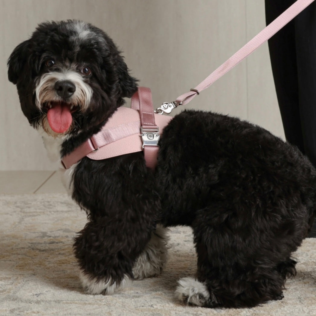 Saddle Harness_PINK