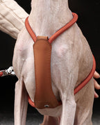 Essential Harness ORANGE