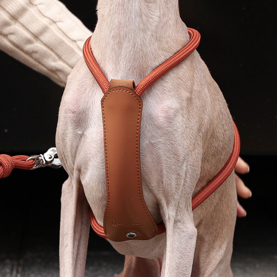Essential Harness_ORANGE
