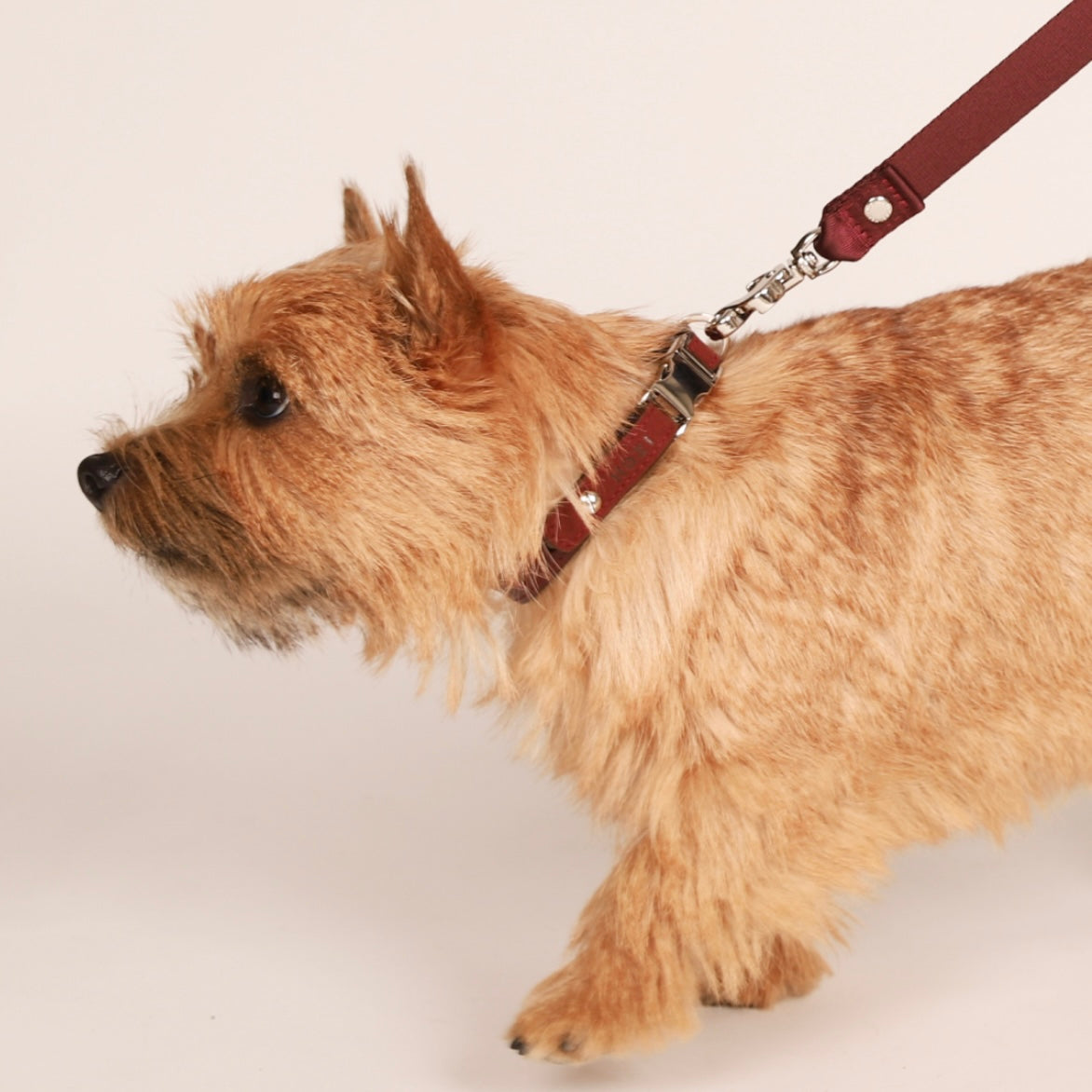 Saddle Strap_BURGUNDY