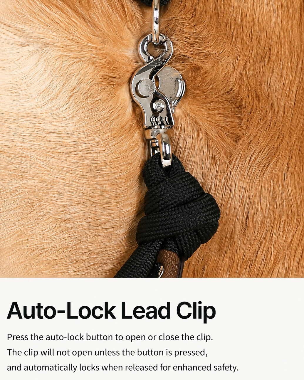 Essential Lead_BEIGE