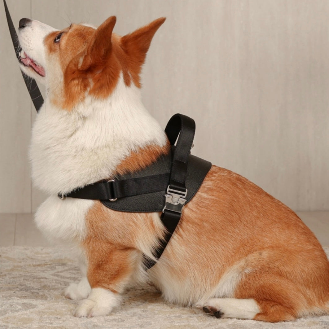 Saddle Harness_BLACK