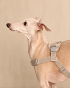 [NEW] Bridle Harness BEIGE