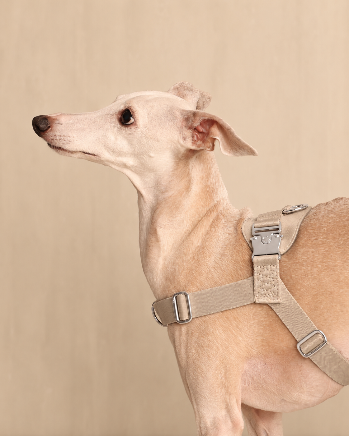 [NEW] Bridle Harness BEIGE