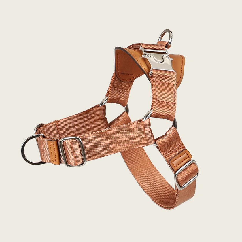 Horsebit Harness_CAMEL