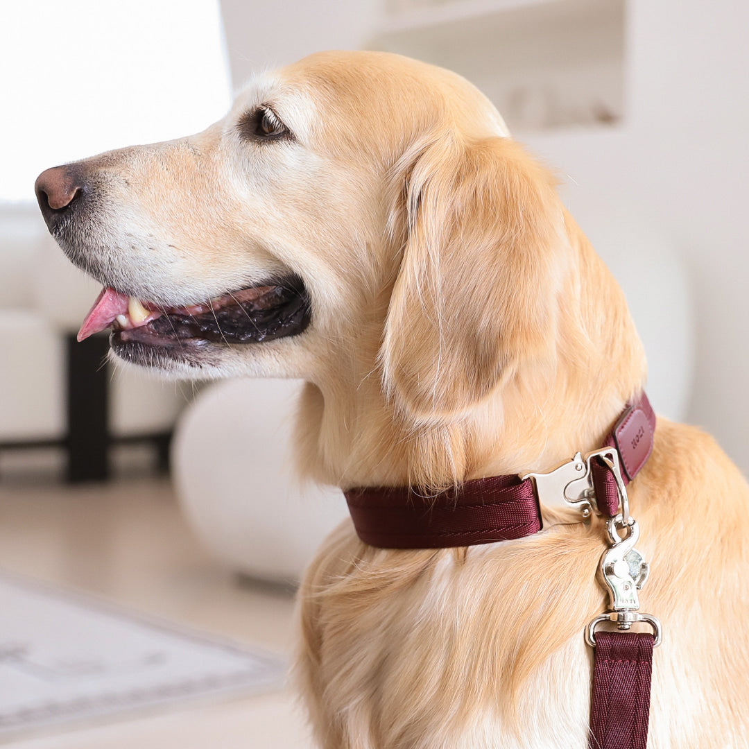 Buckle Strap_BURGUNDY