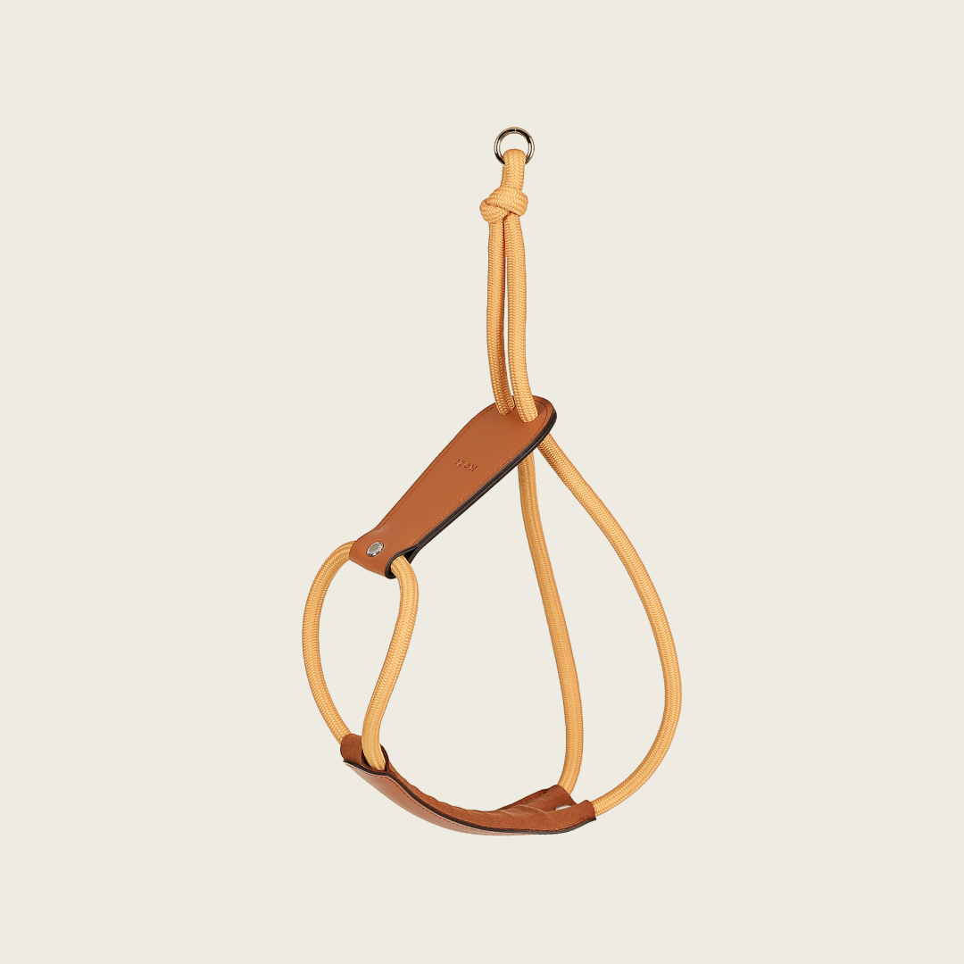 Essential Harness_MUSTARD