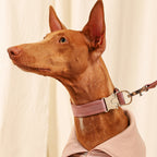 Buckle Strap_PINK