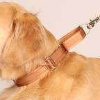 Martingale_CAMEL