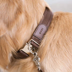 Buckle Strap_MOCHA