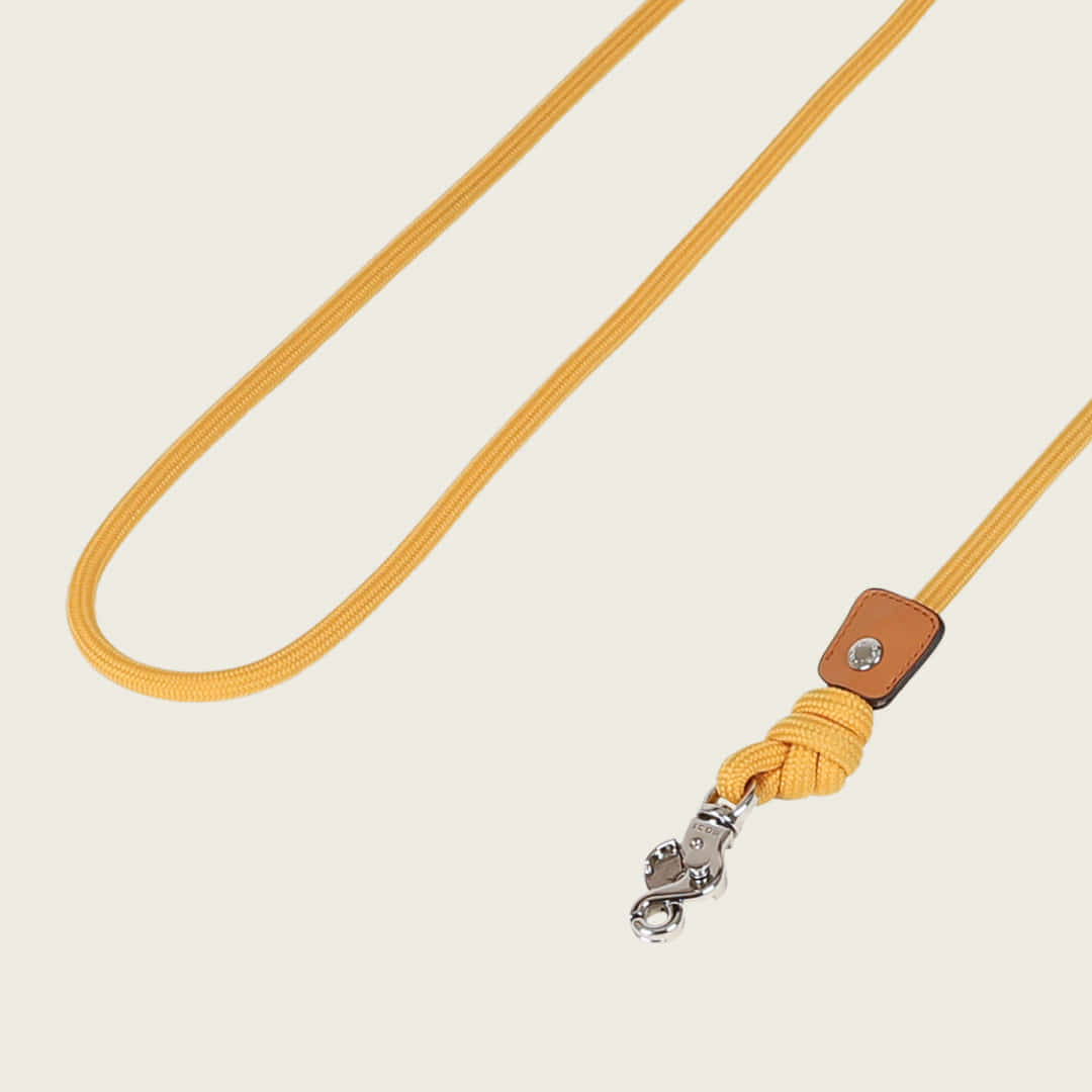 Essential Hands-Free Lead_MUSTARD