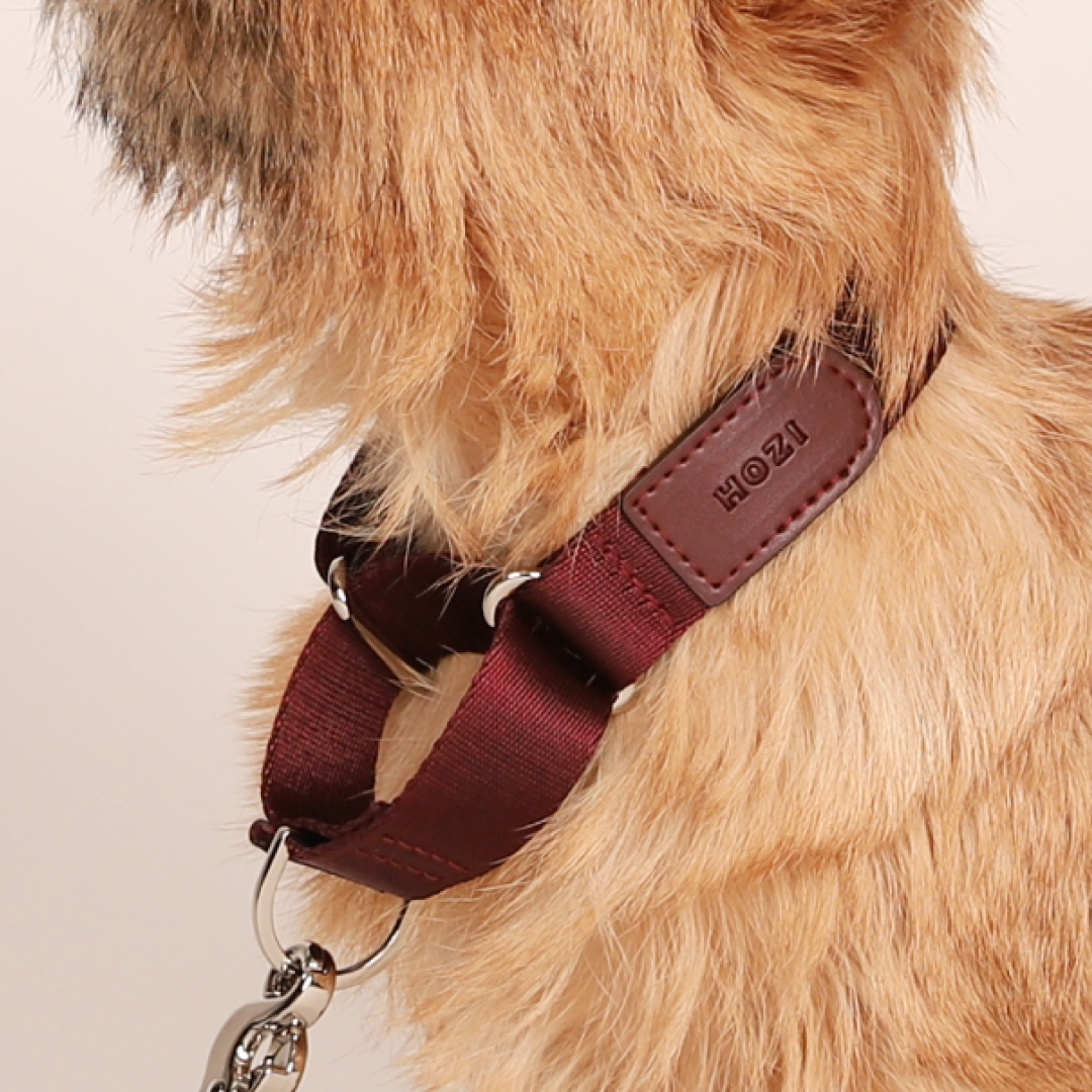 Martingale_BURGUNDY