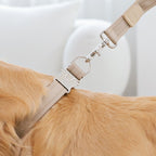 Buckle Strap_BEIGE