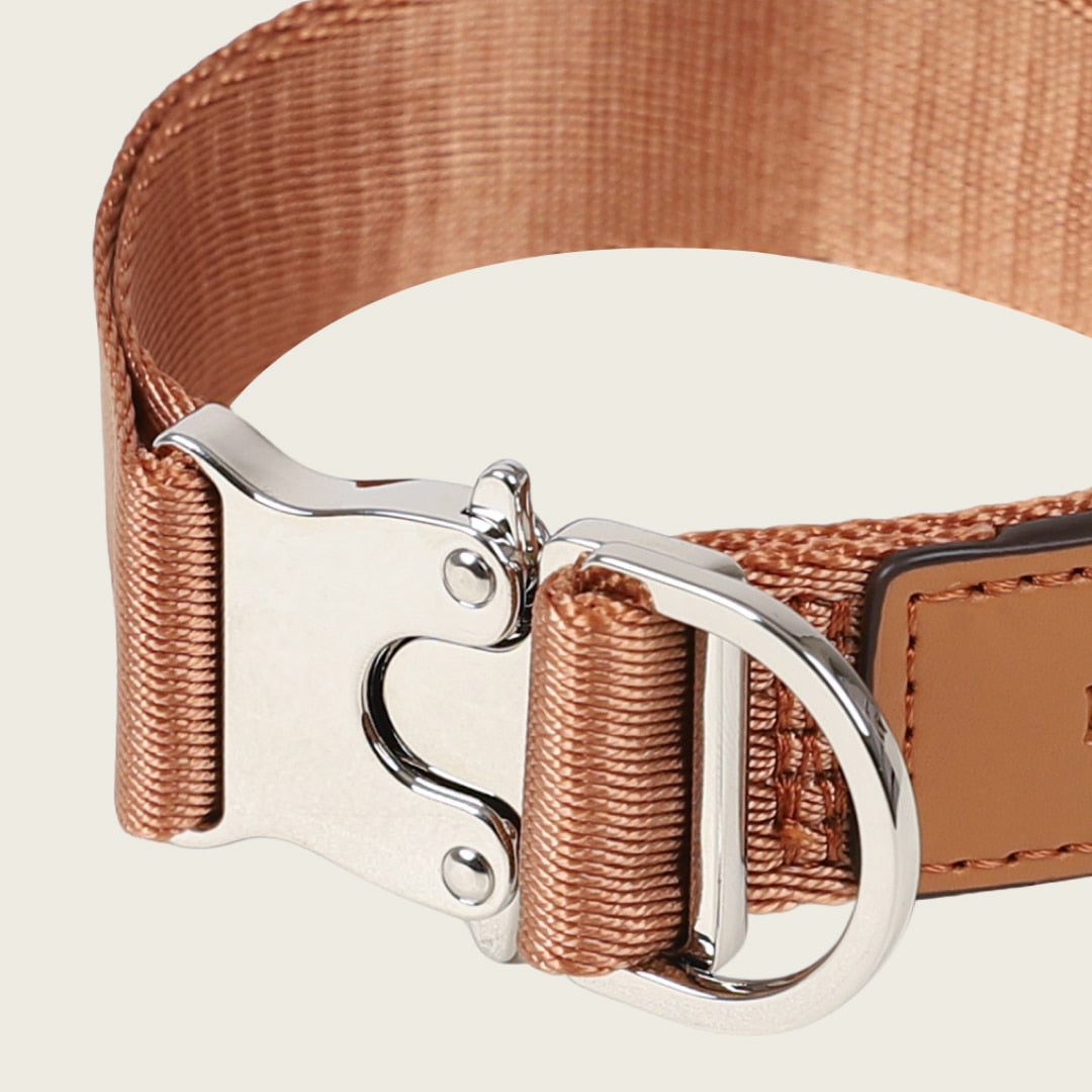 Buckle Strap_CAMEL