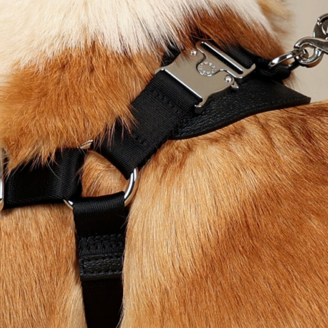 Horsebit Harness_BLACK