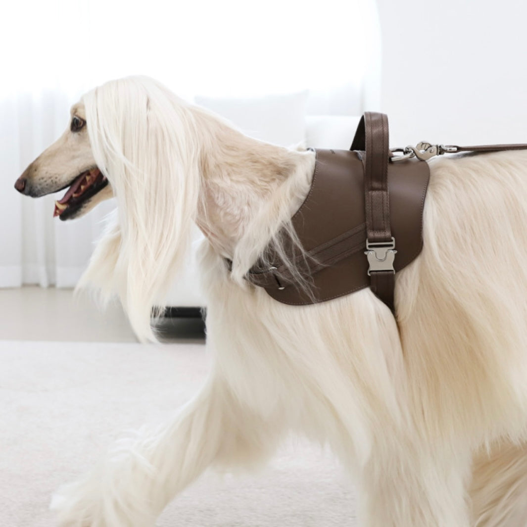 Saddle Harness_MOCHA