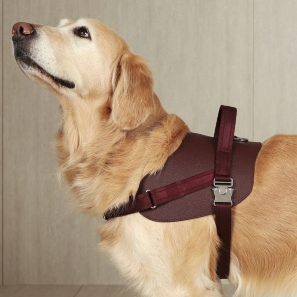 Saddle Harness_BURGUNDY