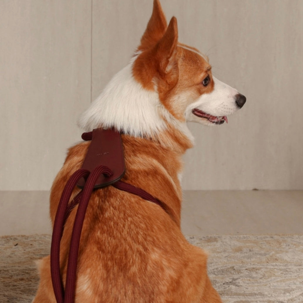 Essential Harness_BURGUNDY