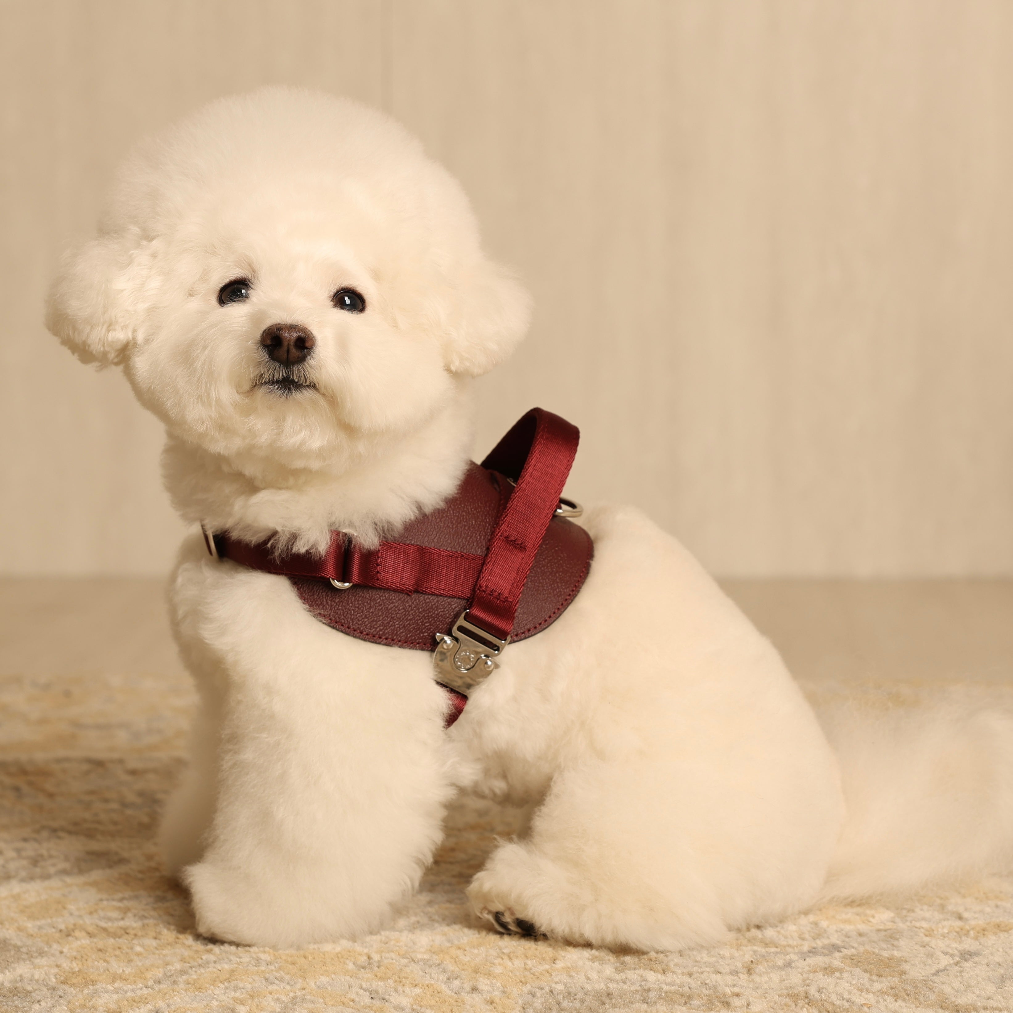 Saddle Harness_BURGUNDY
