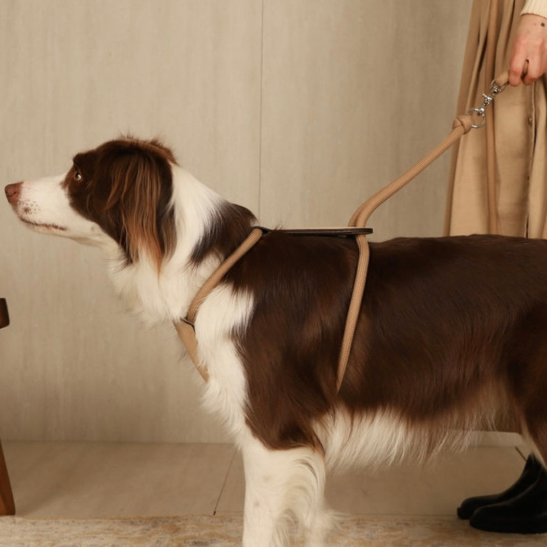 Essential Harness_BEIGE