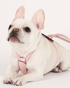 Essential Harness PINK