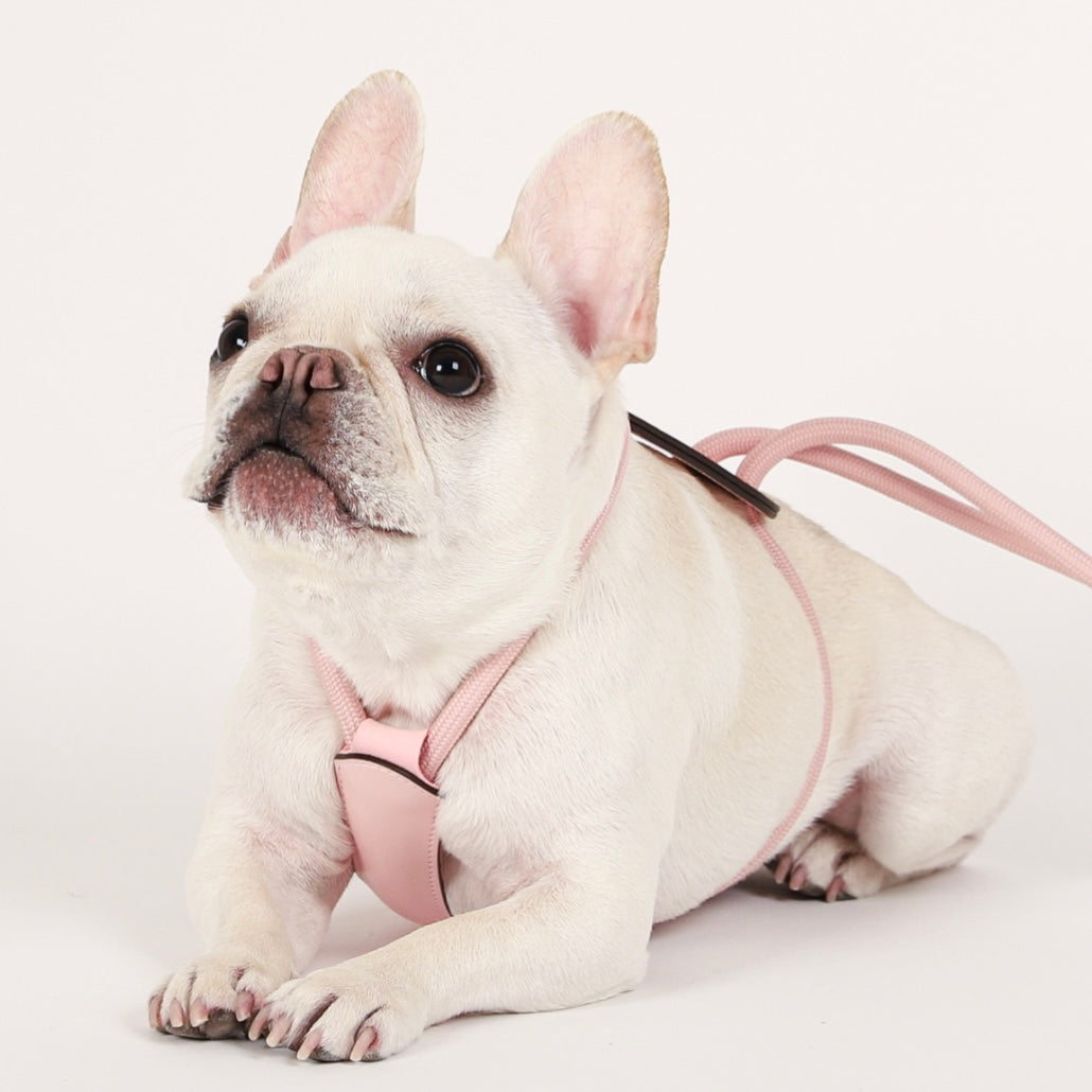 Essential Harness_PINK