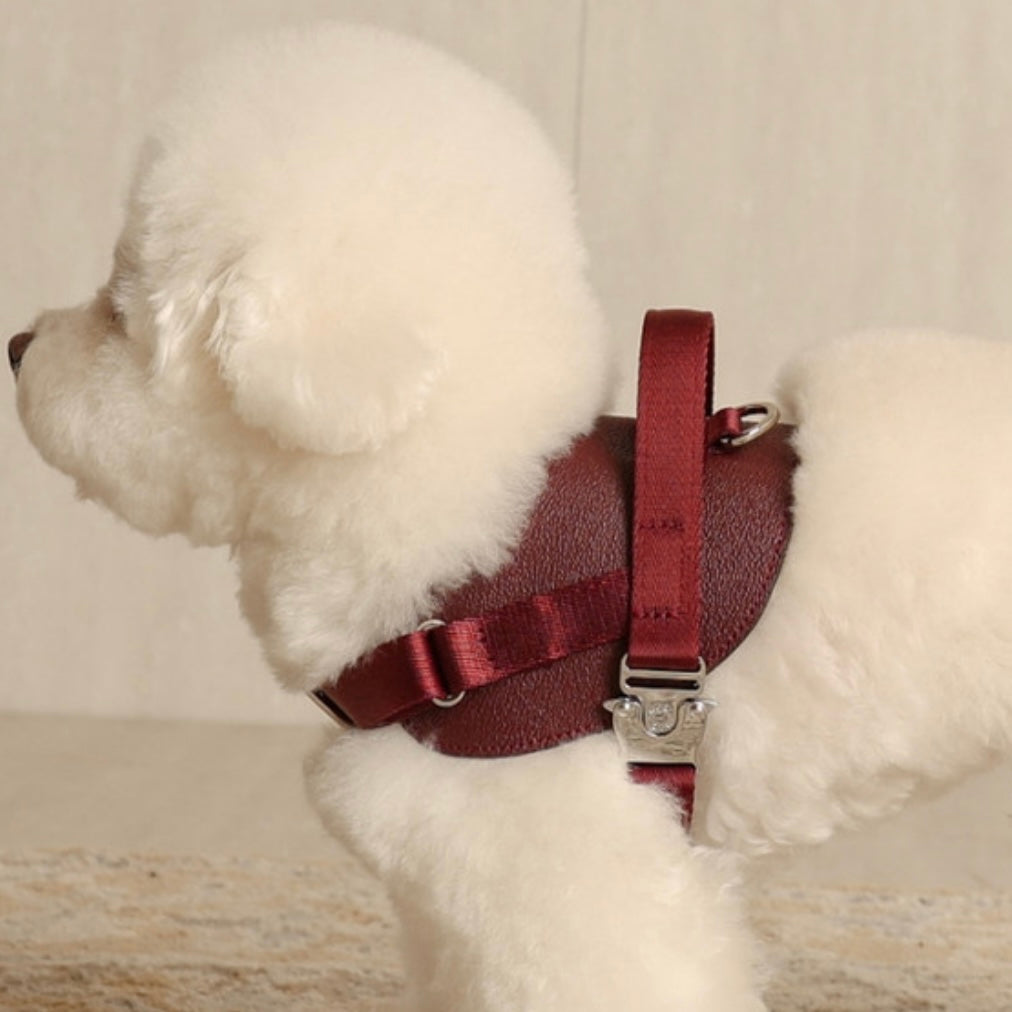 Saddle Harness_BURGUNDY