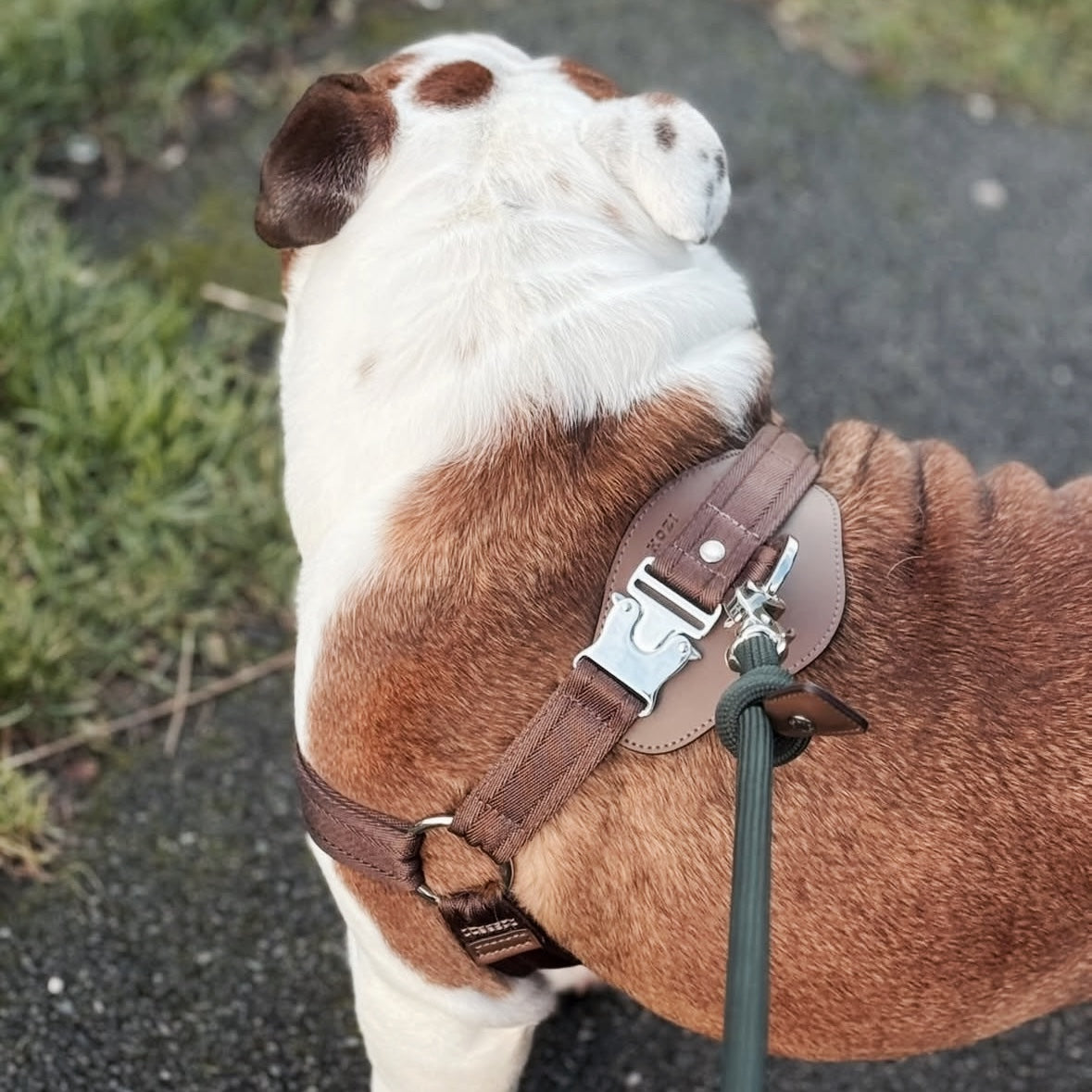 Horsebit Harness_MOCHA