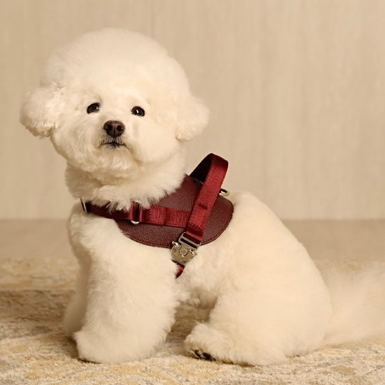 Saddle Harness_BURGUNDY