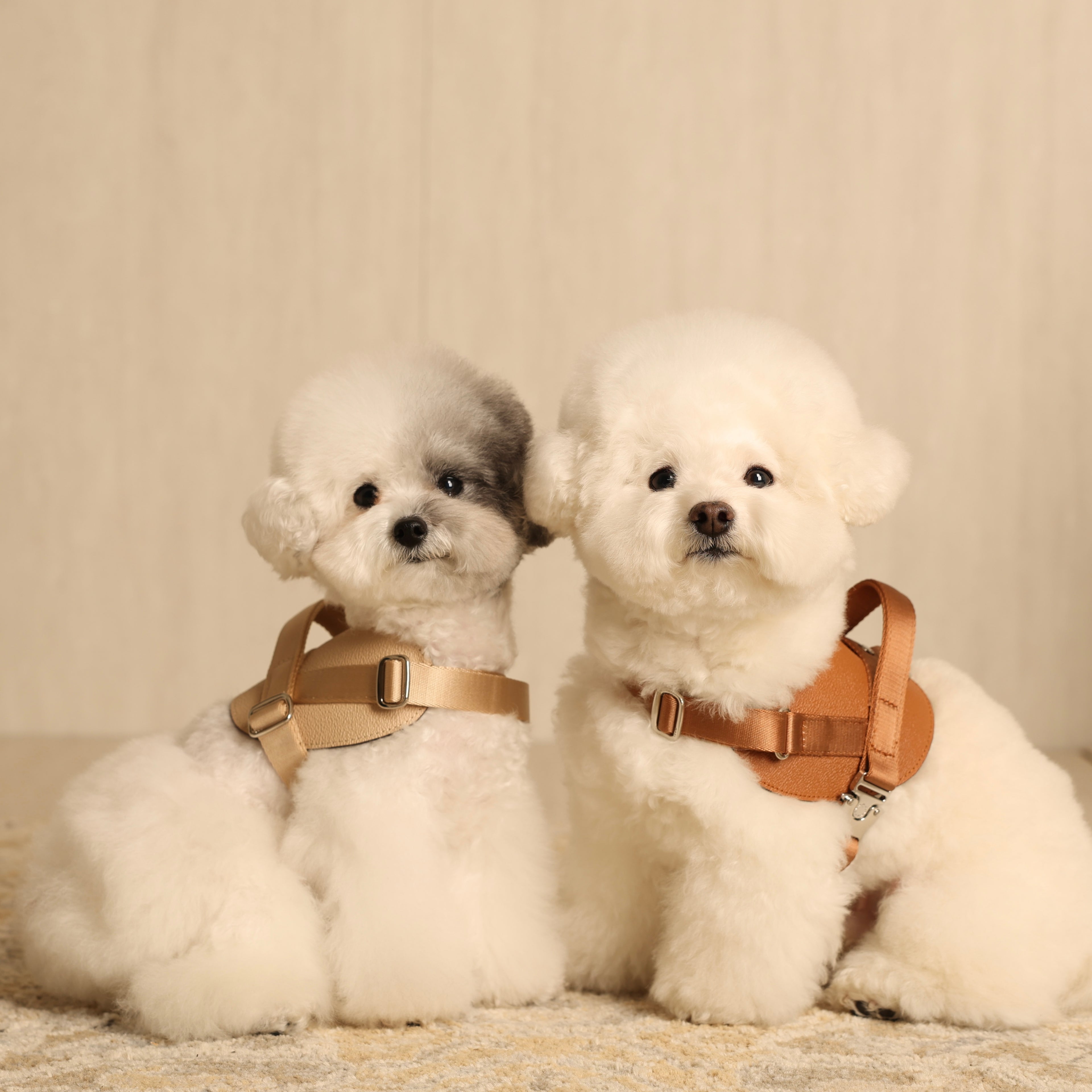 Saddle Harness_BEIGE