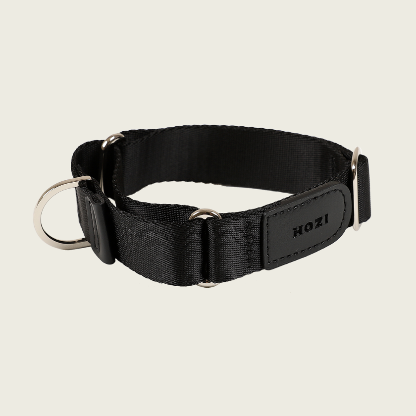 Martingale_BLACK